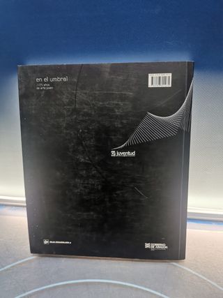 libro, EN EL UMBRAL. 25 AÑOS DE ARTE JOVEN