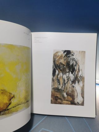 libro, EN EL UMBRAL. 25 AÑOS DE ARTE JOVEN