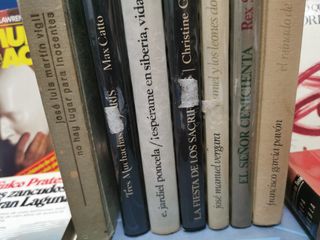 12 libros, 13 novelas clásicas