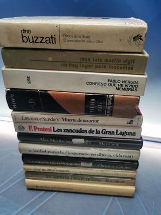 12 libros, 13 novelas clásicas