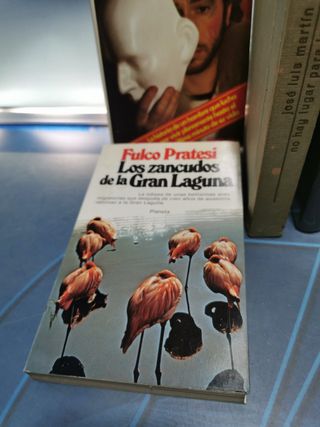 12 libros, 13 novelas clásicas