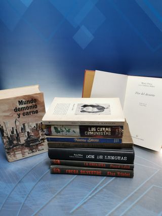 9 LIBROS, NOVELAS, NUEVOS DOSES, DON DE LENGUAS, LOS CURAS COMUNISTAS, CALLE KATALIN y mas