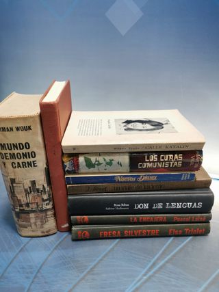 9 LIBROS, NOVELAS, NUEVOS DOSES, DON DE LENGUAS, LOS CURAS COMUNISTAS, CALLE KATALIN y mas