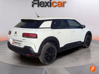 Citroën C4 Cactus BlueHDi 100 S&S Feel