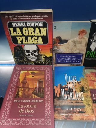 Novela histórica, 9 libros, Paladión, La gran plaga, Soldado de arete y mas