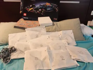 LEGO Technic Red Bull RB20 42206 BOLSAS PRECINTADS