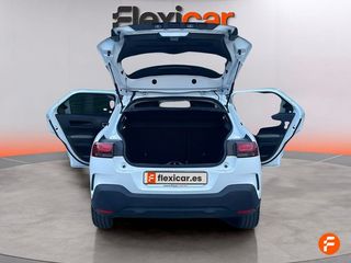 Citroën C4 Cactus PureTech 81KW (110CV) S&S Feel