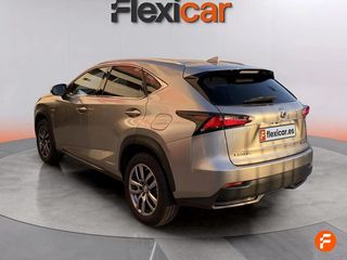 Lexus NX 2.5 300h Business 2WD