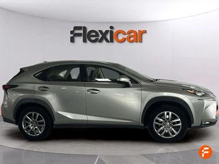 Lexus NX 2.5 300h Business 2WD