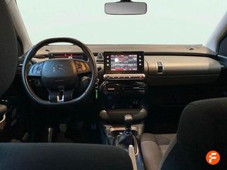 Citroën C4 Cactus BlueHDi 100 S&S Business