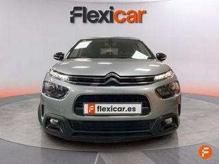 Citroën C4 Cactus BlueHDi 73KW (100CV) Business