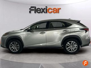 Lexus NX 2.5 300h Business 2WD