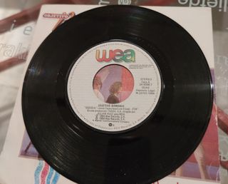 Objetivo Birmania - Desidia Vinilo