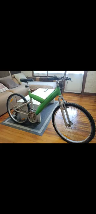 Bicicleta Pininfarina Verde