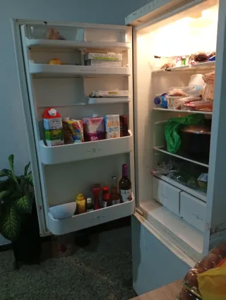 Nevera grande blanca