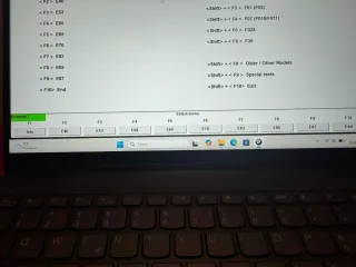 INPA BMW compatibile Windows 11