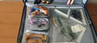 Valigetta originale Bratz 2001