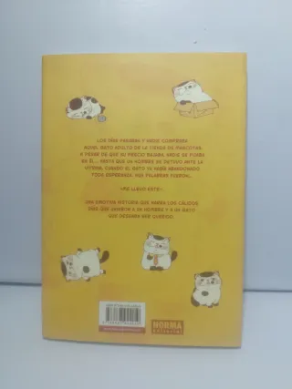 El hombre y el gato 1