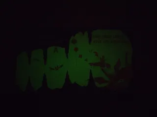 ¿Dónde viven las hadas?: Cuento para leer a oscura