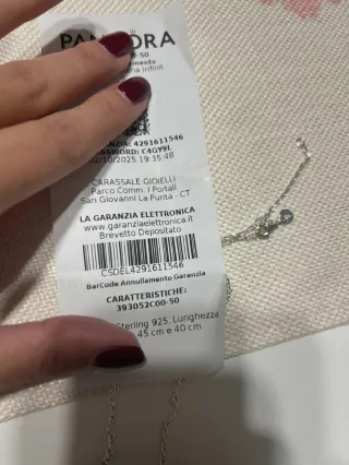 Pandora Charm e Catenina Argento