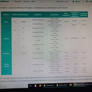 Telaio bici acciaio vintage H52 x L55