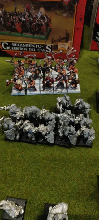 Warhammer Guerreros del Caos Oferta!