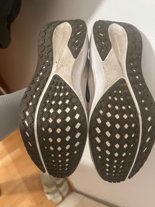 Zapatillas Nike Pegasus Running Mujer/Hombre