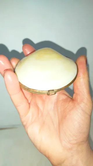 Caja joyero concha nacarada latón antigua vintage