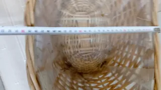 Cesta de mimbre con forro interior