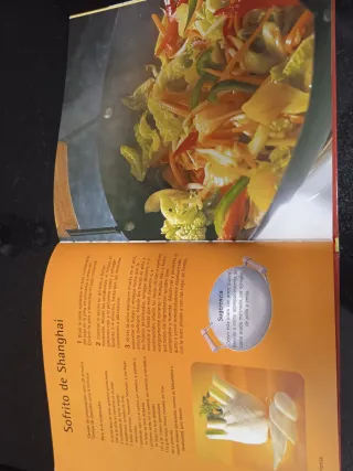 El gran libro del wok