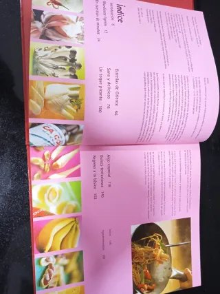 El gran libro del wok