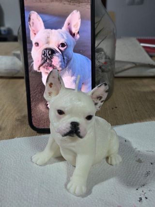 Velas personalizadas de mascotas