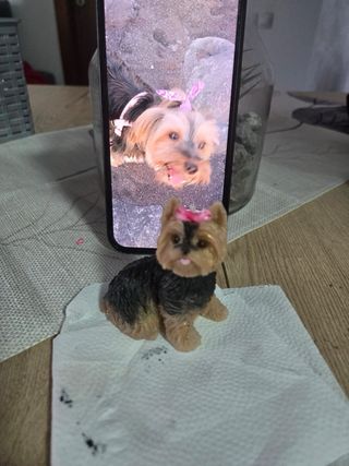 Velas personalizadas de mascotas