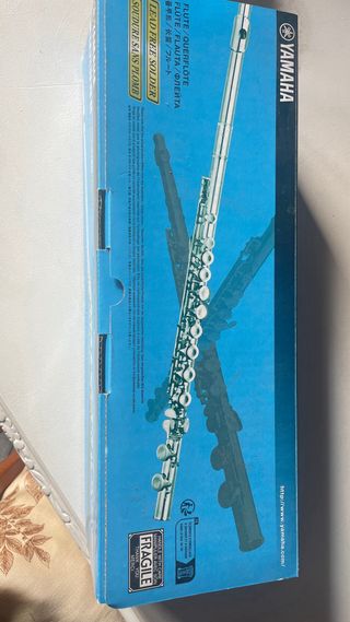 Flauta travesera plateada