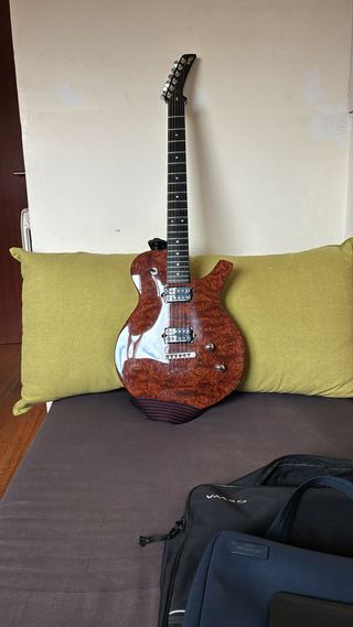 Guitarra Parker PM-20 Horner