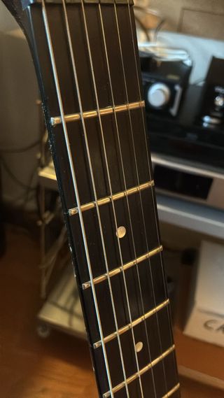 Guitarra Parker PM-20 Horner