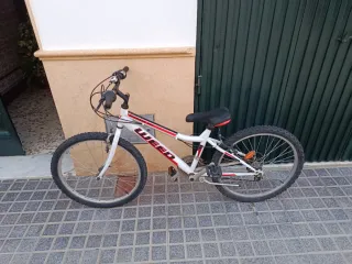 Bicicleta infantil