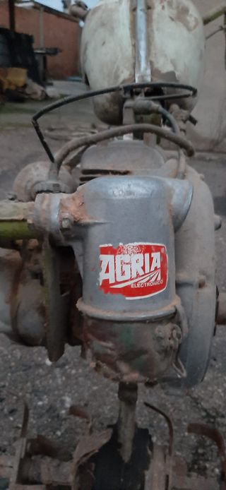 Motoazada Agria 3000 Motor JLO L101 Antigua