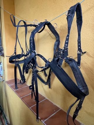 Arneses para tronco de ponis