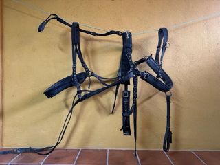 Arneses para tronco de ponis