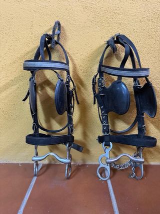 Arneses para tronco de ponis