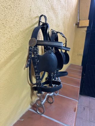 Arneses para tronco de ponis