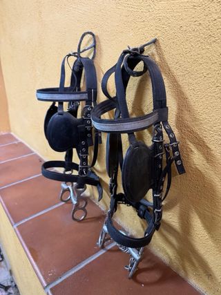 Arneses para tronco de ponis