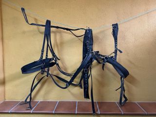 Arneses para tronco de ponis