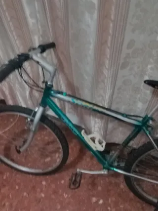 Bicicleta Montaña Verde