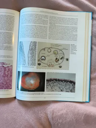 Libro di oncologia ginecologica