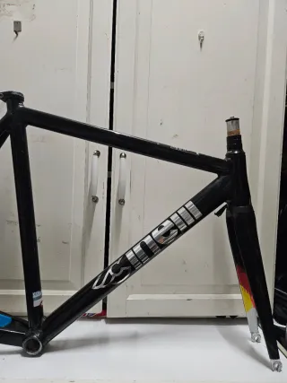 ♦️ MASH HISTOGRAM ♦️