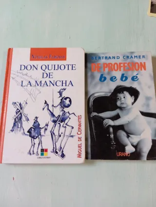 Libros: Don Quijote y De Profesión Bebé