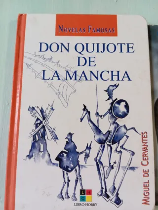 Libros: Don Quijote y De Profesión Bebé