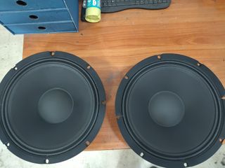 Woofer RCF da 32 cm (12 pollici). 400W